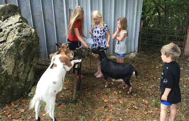 Kinder streicheln die Ziegen